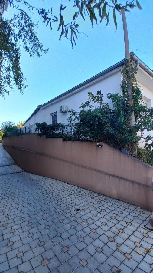 Apartman Radovic Smederevo Exterior photo
